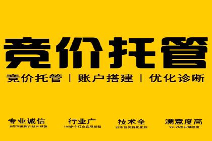 竞价推广公司案例：揭秘成功背后的秘密
